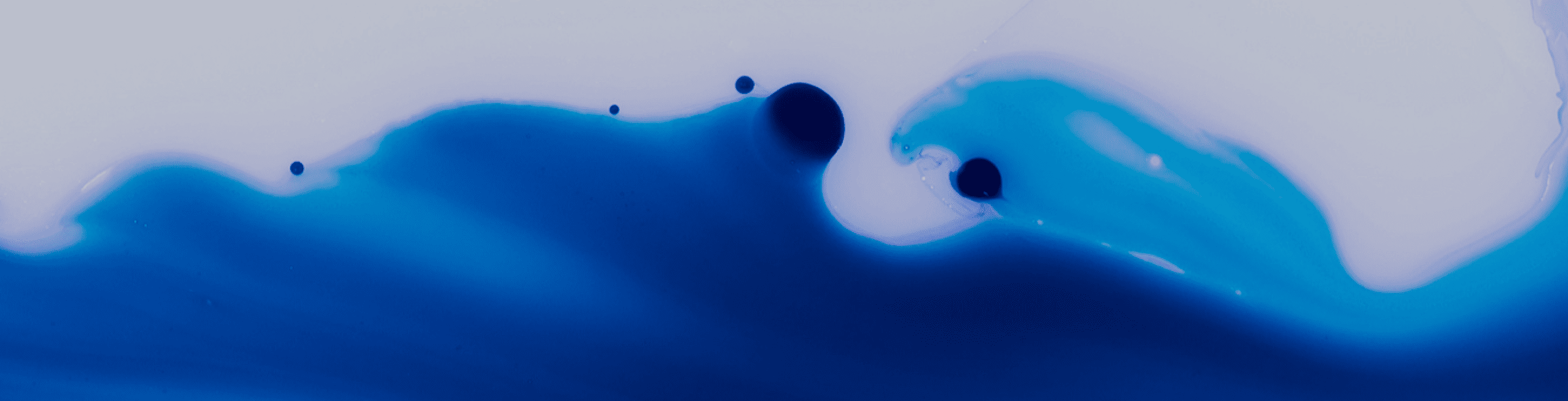 digital fog
